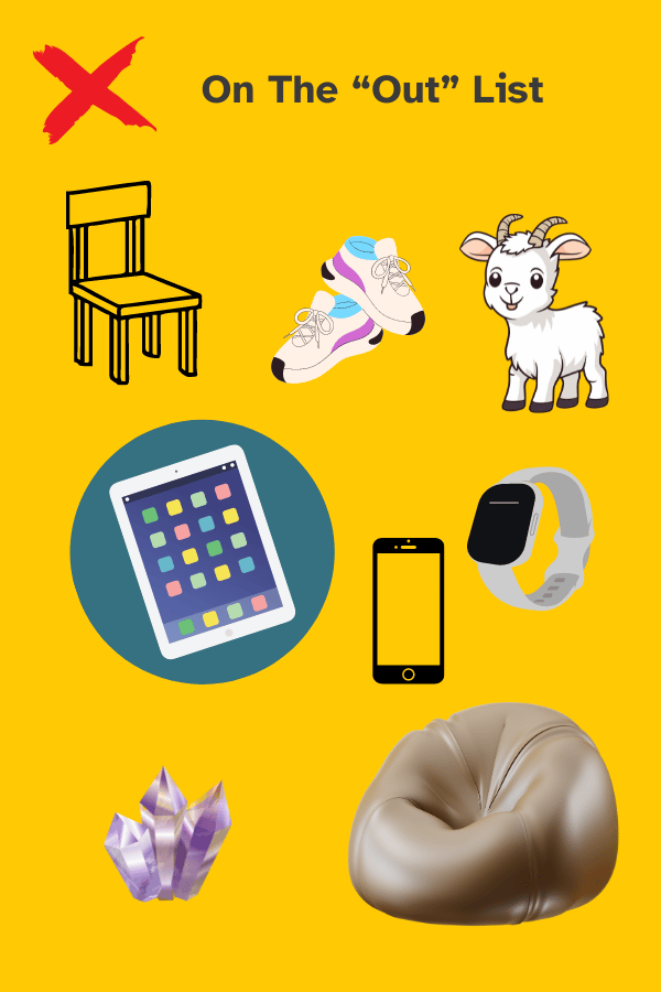 Image showing items that are on the Out List: chair, shoes, goat, tablet, phone, watch, crystals, beanbag